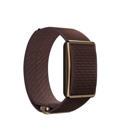 Гривна Polar Loop GEN 2